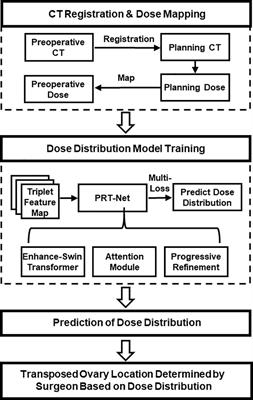 PRT-Net: a progressive refinement transformer for dose prediction to guide ovarian transposition